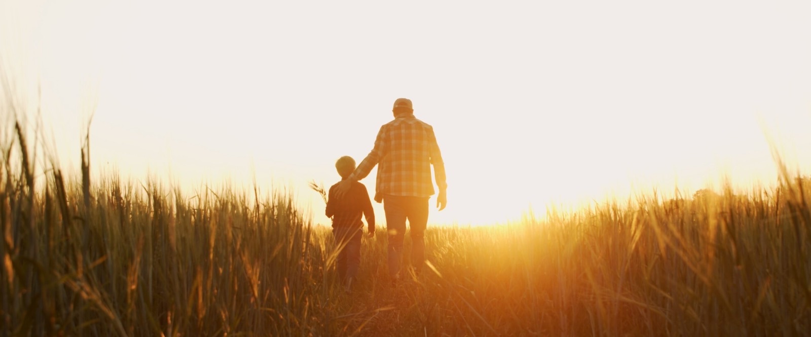 father and son walking through a field