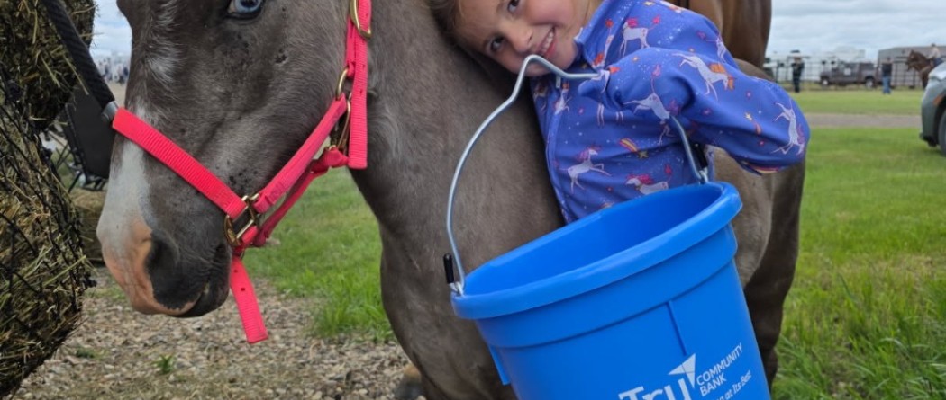 a little girls hugging a pony