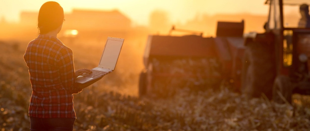 a farmer standing in a crop field holding a laptop