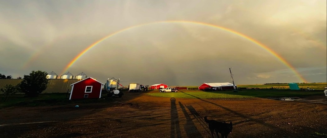 a rainbow over a farm